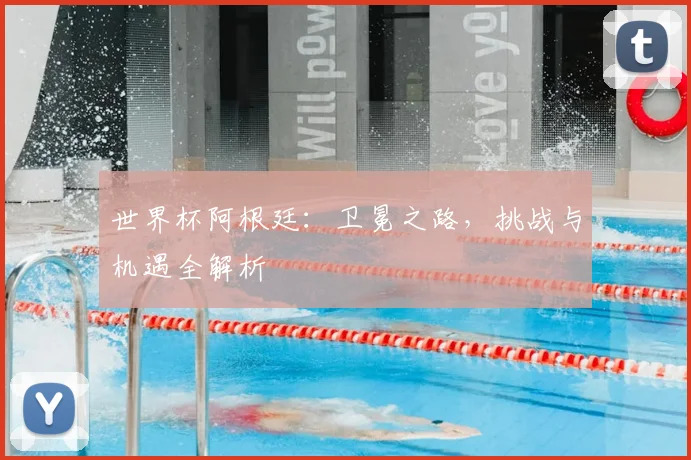 世界杯阿根廷：卫冕之路，挑战与机遇全解析