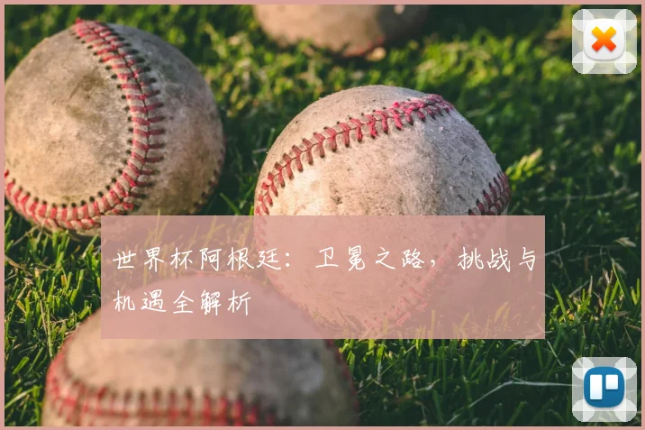 世界杯阿根廷：卫冕之路，挑战与机遇全解析