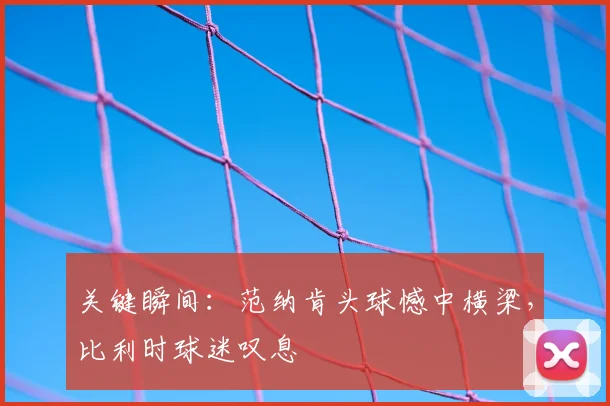 关键瞬间：范纳肯头球憾中横梁，比利时球迷叹息
