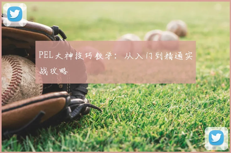PEL大神技巧教学：从入门到精通实战攻略