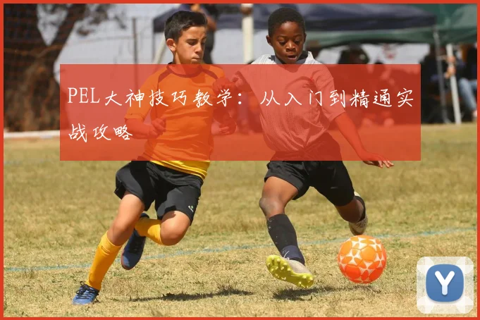PEL大神技巧教学：从入门到精通实战攻略